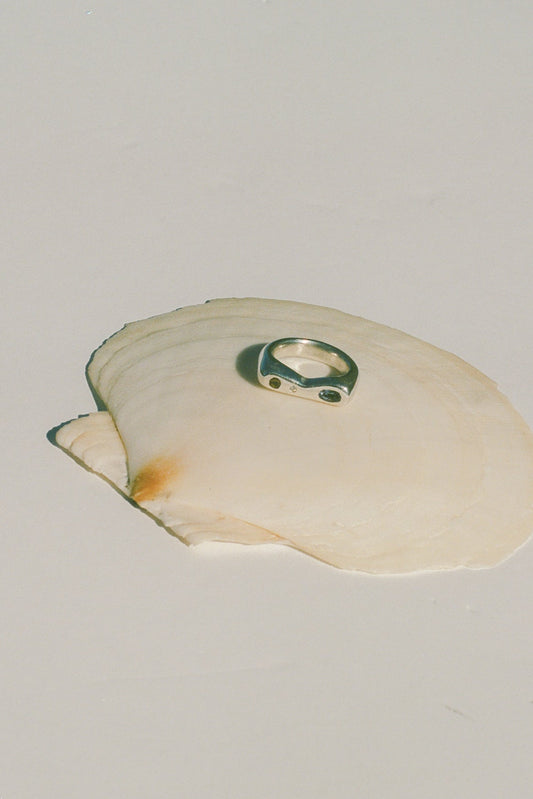 Samuel Ring