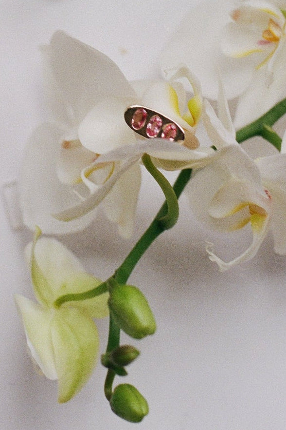 Táxis Ring