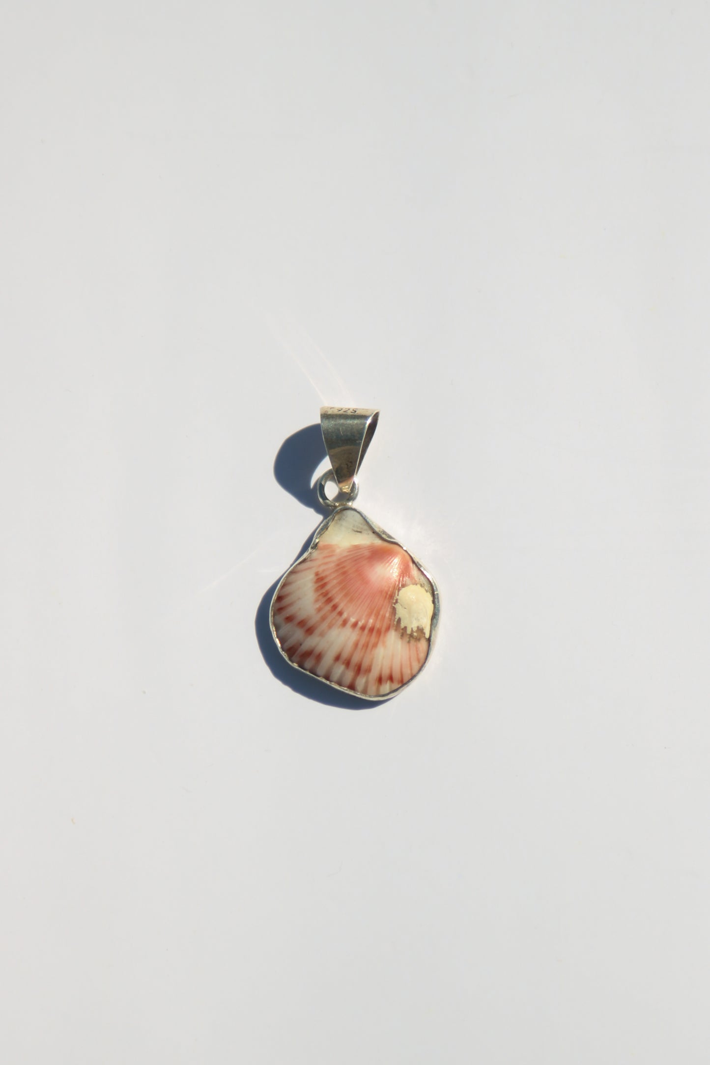Shell Pendants
