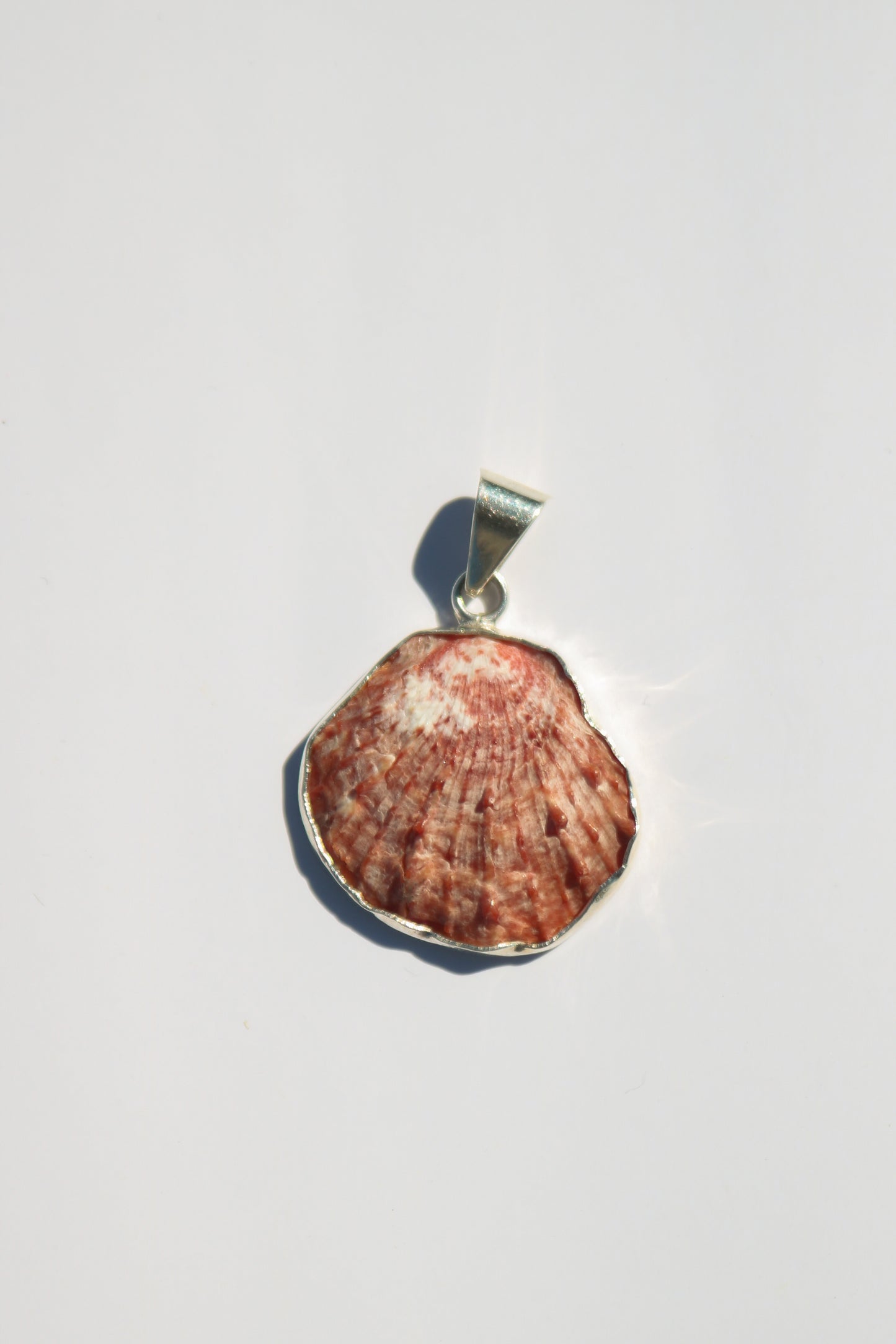 Shell Pendants