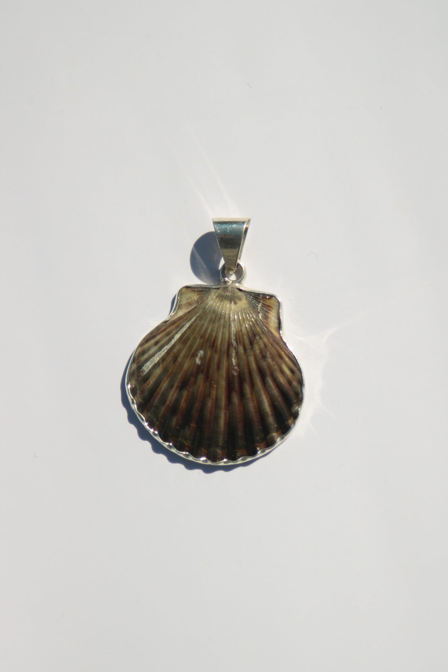 Shell Pendants