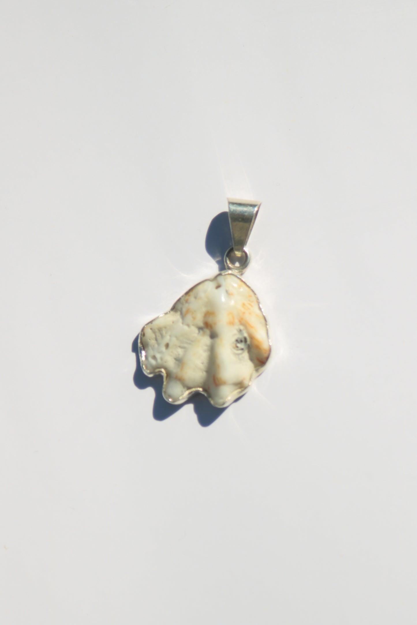 Shell Pendants