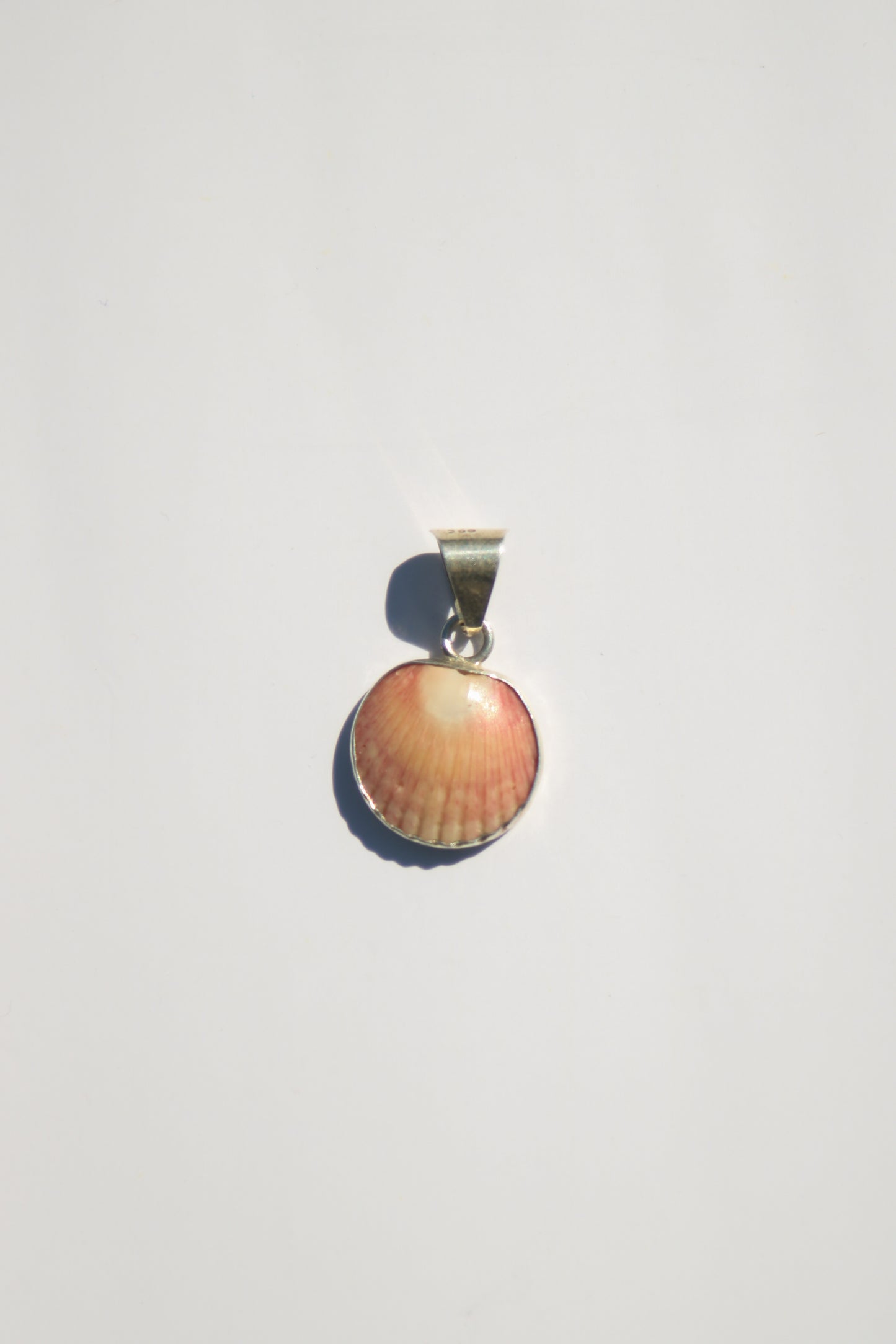 Shell Pendants