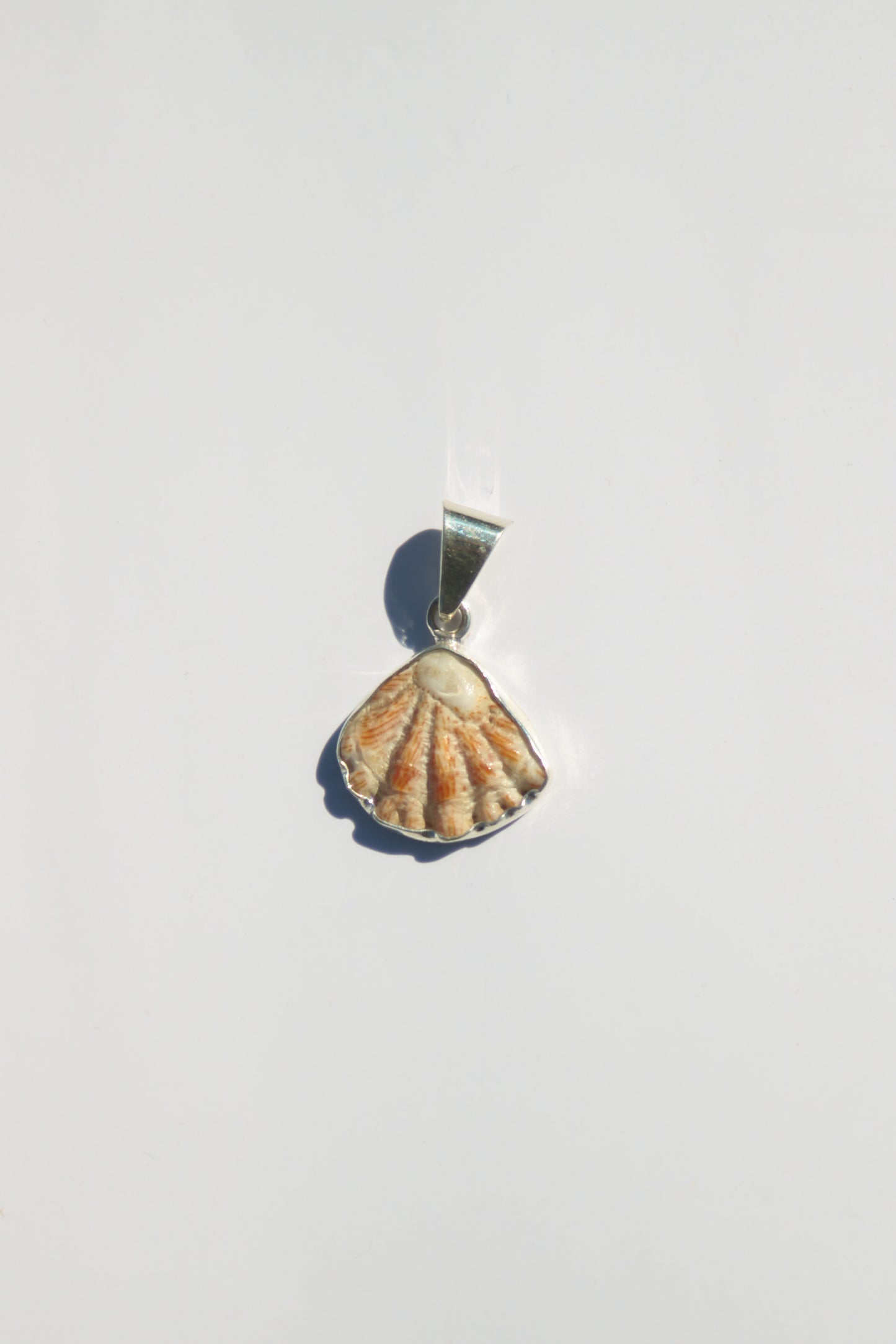 Shell Pendants