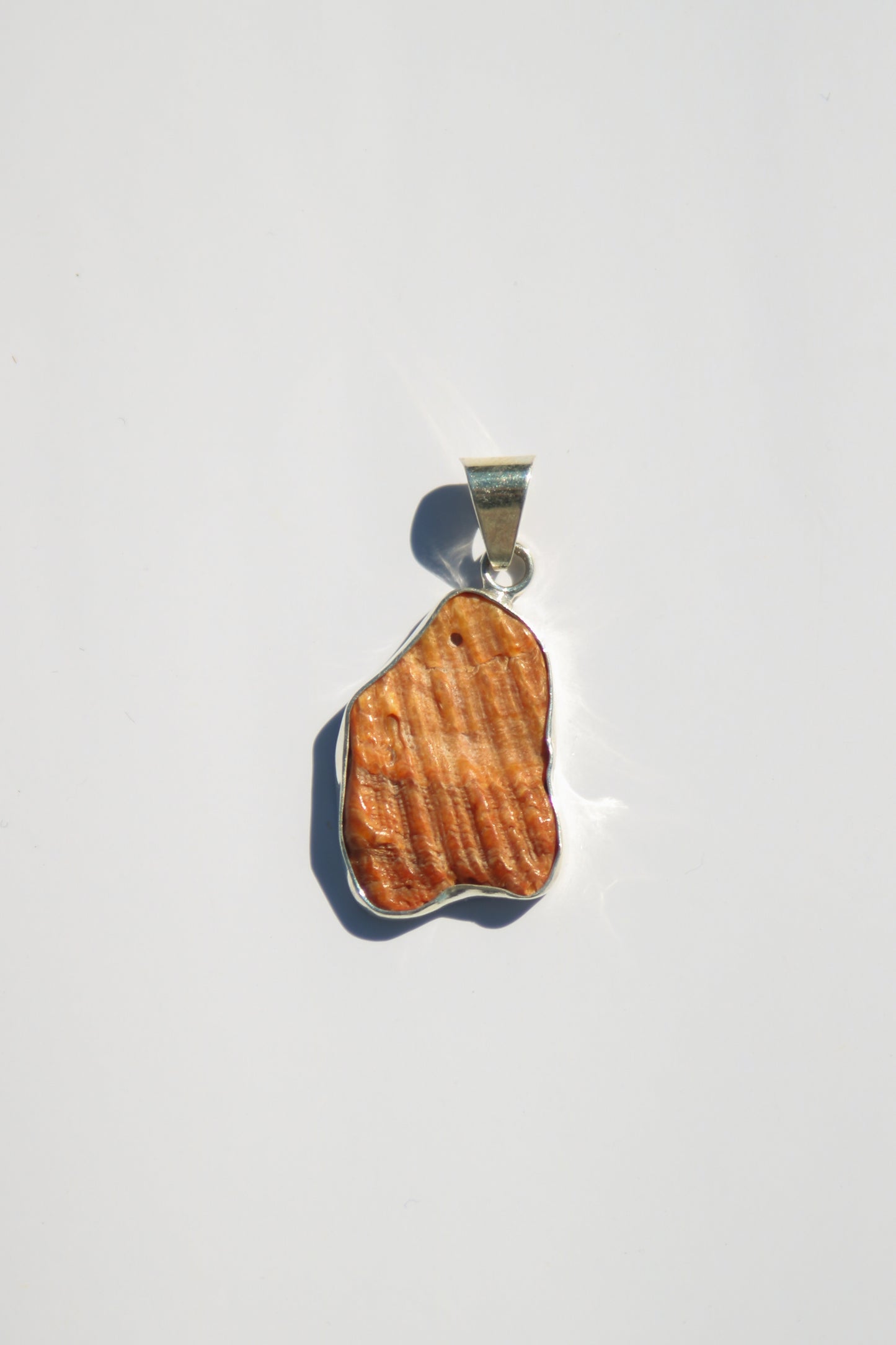Shell Pendants