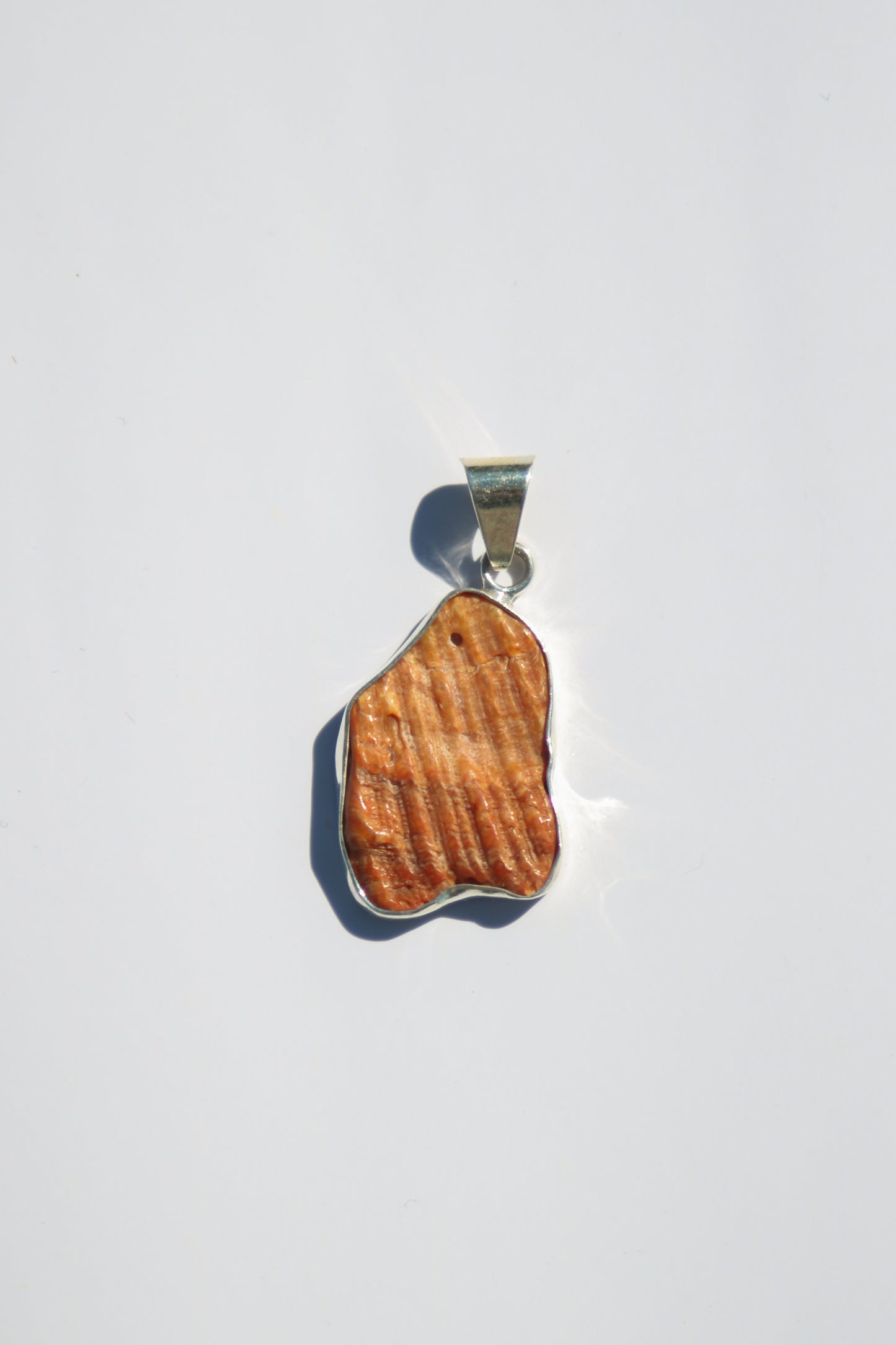 Shell Pendants