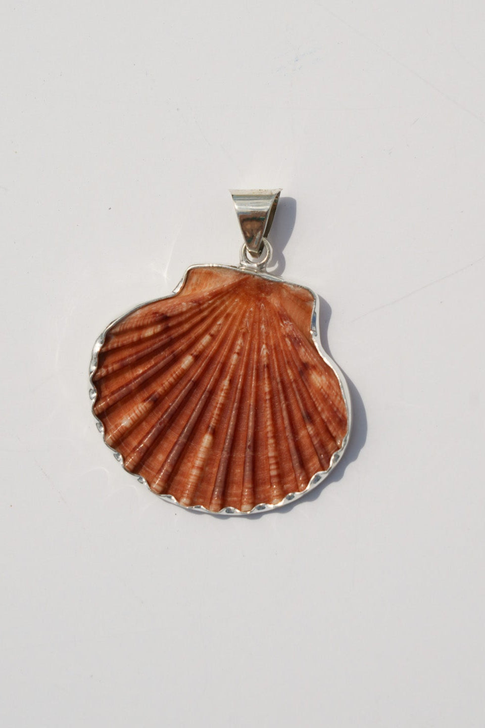 Shell Pendants