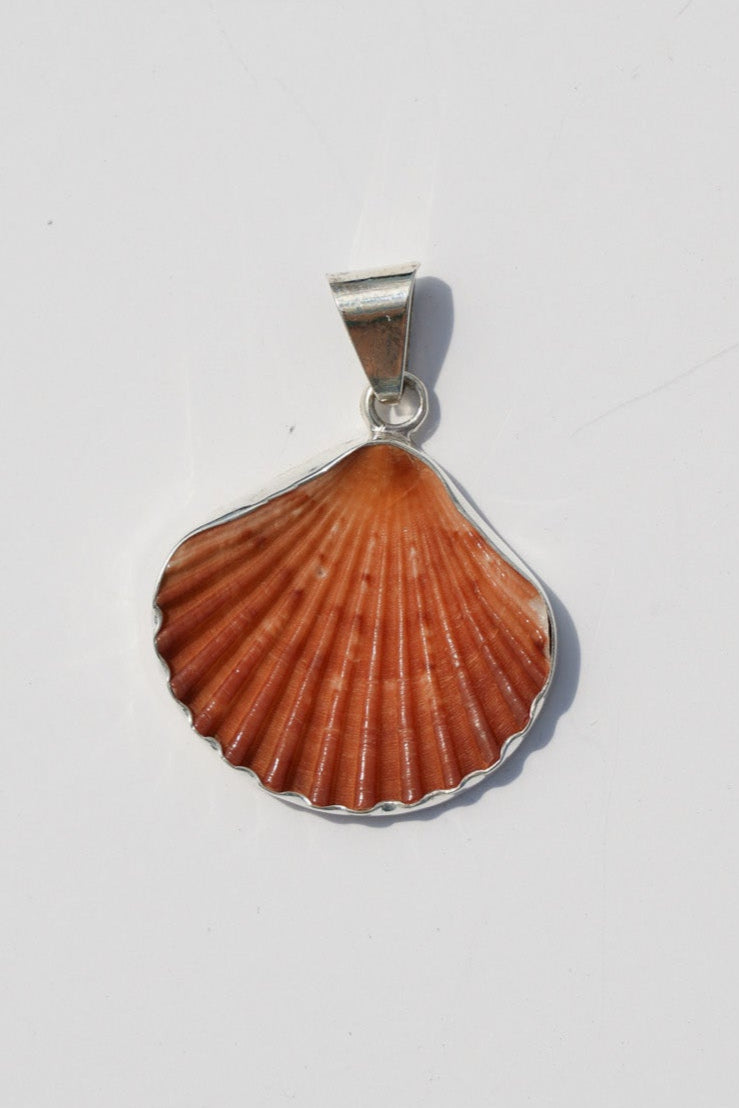 Shell Pendants