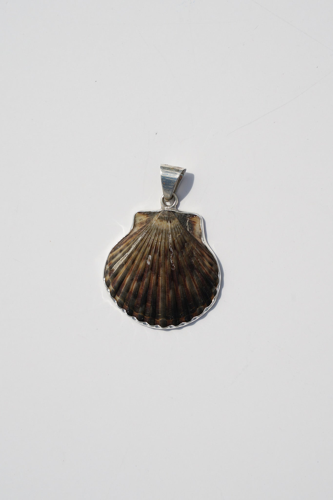 Shell Pendants