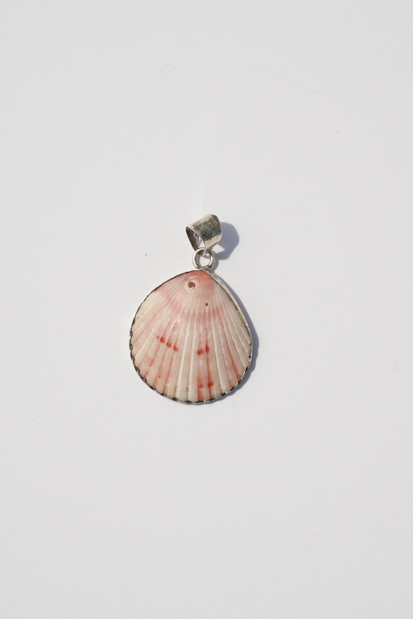 Shell Pendants