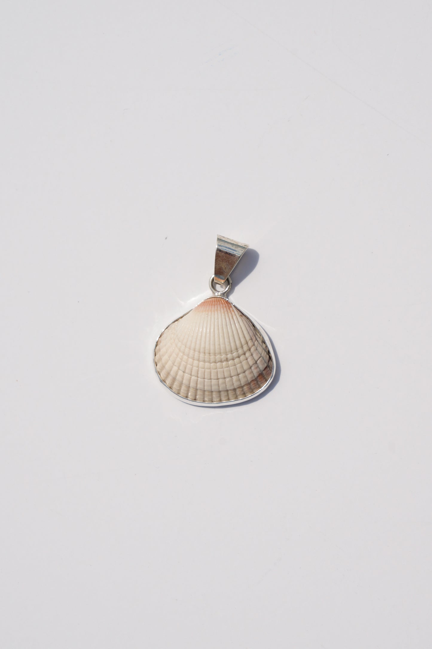Shell Pendants