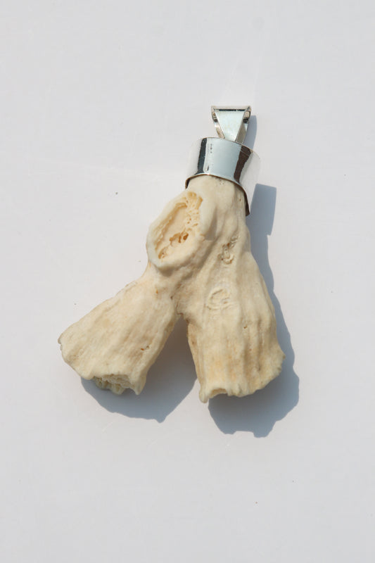 XL Shell Pendants