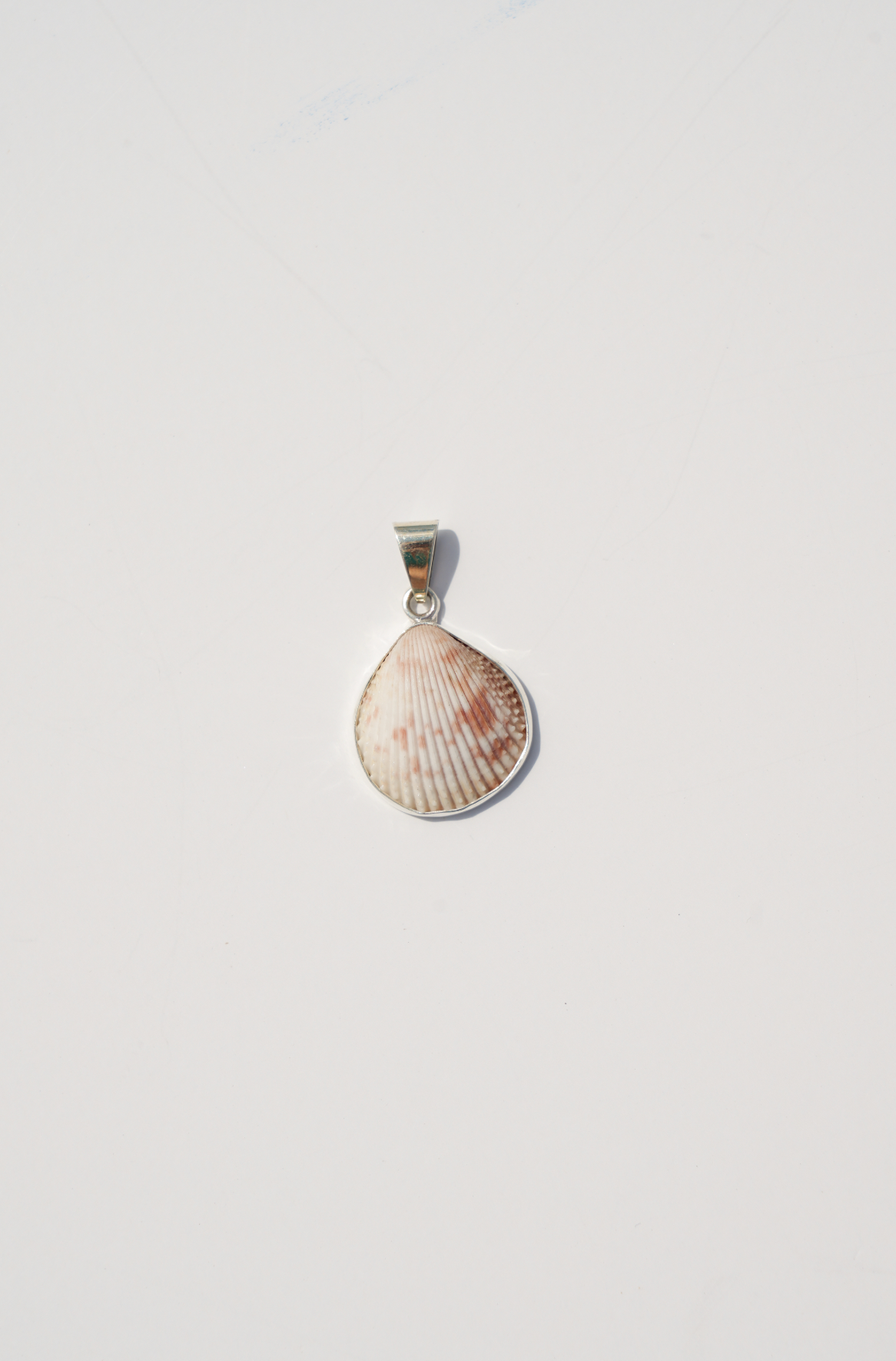 Shell Pendants