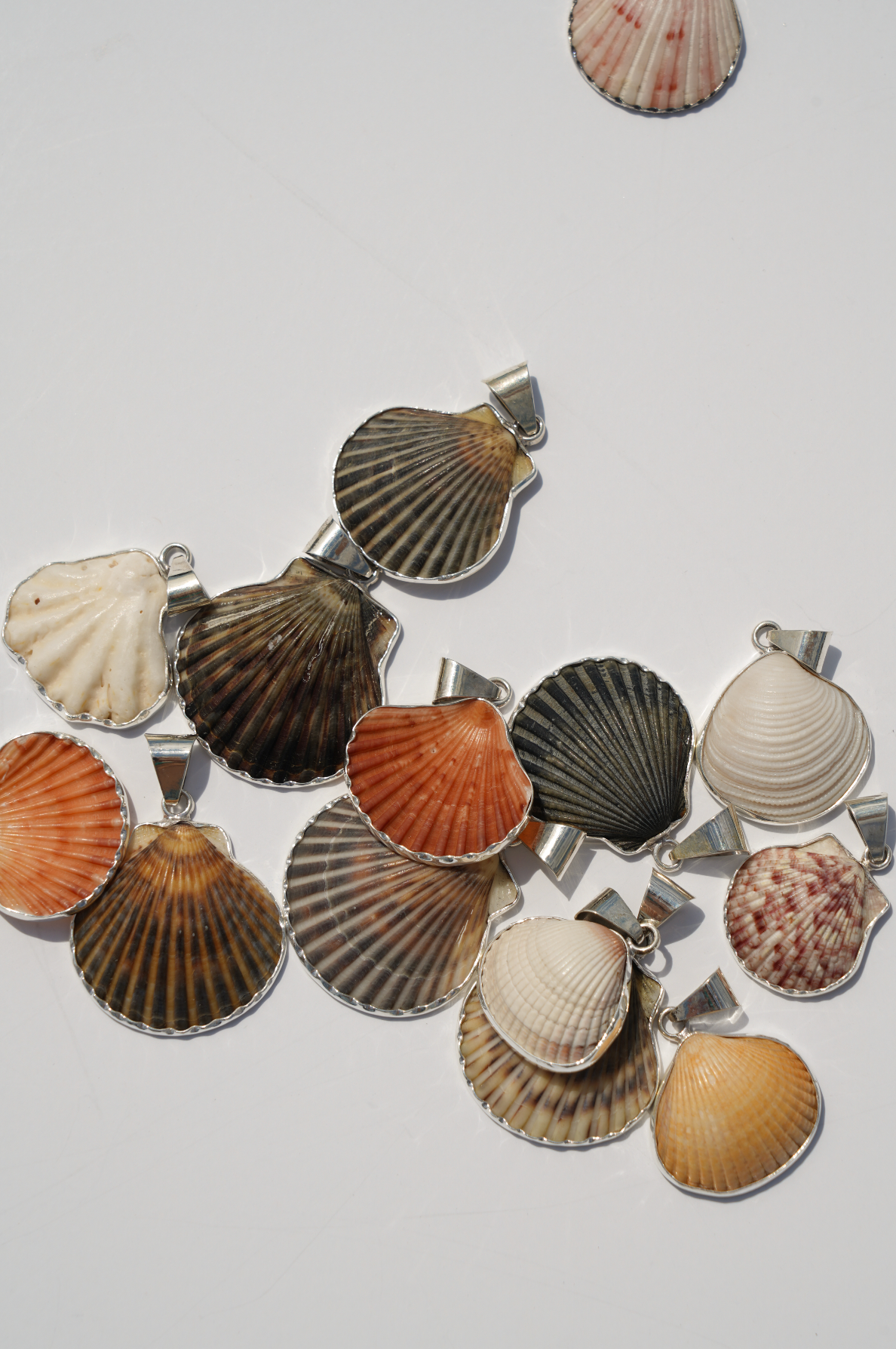 Shell Pendants