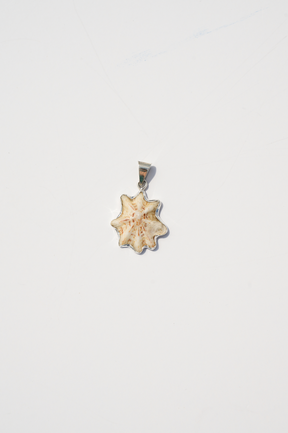 Shell Pendants