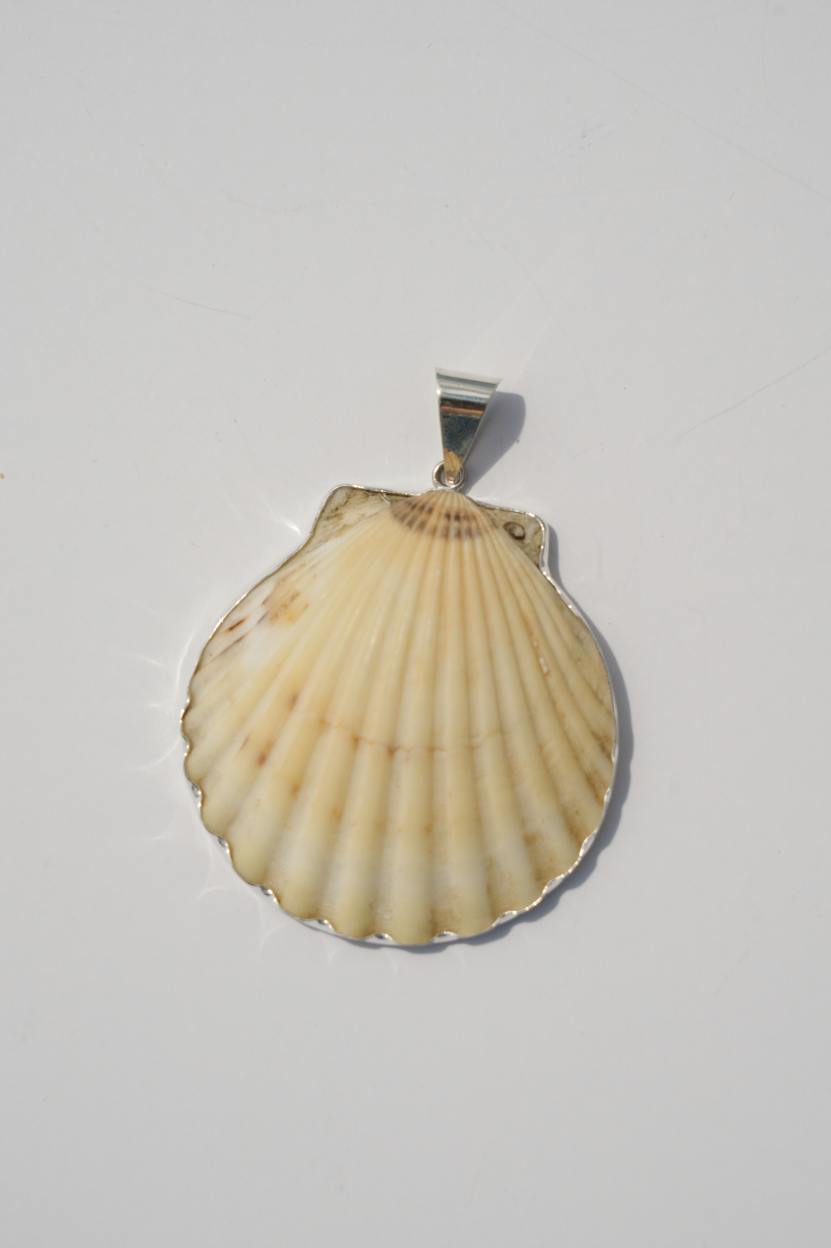 Shell Pendants