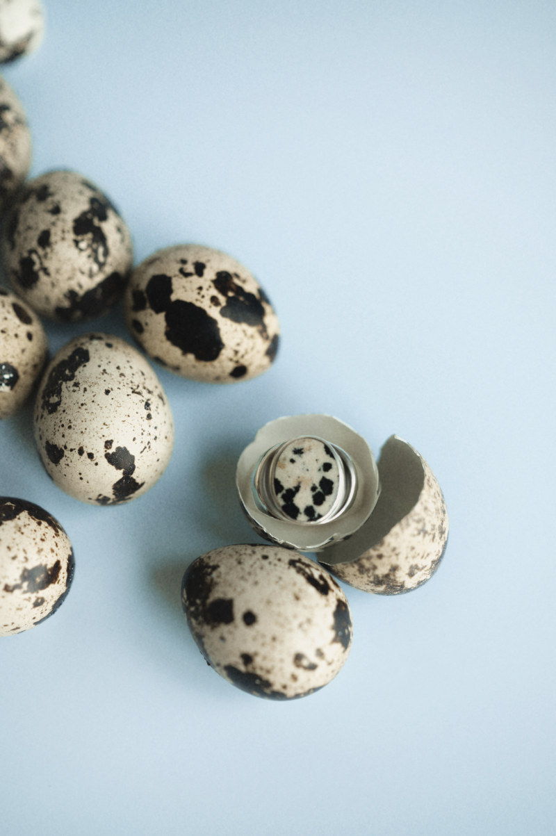 Toma Miu_Dalmatian Jasper PErlmutte Ring