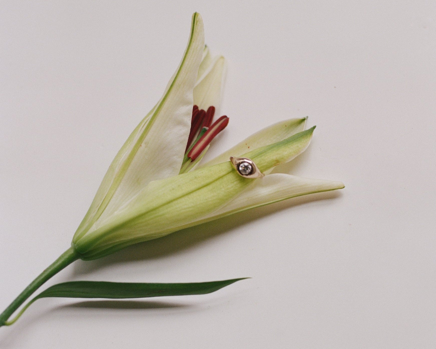 Aether Collection – Odissea