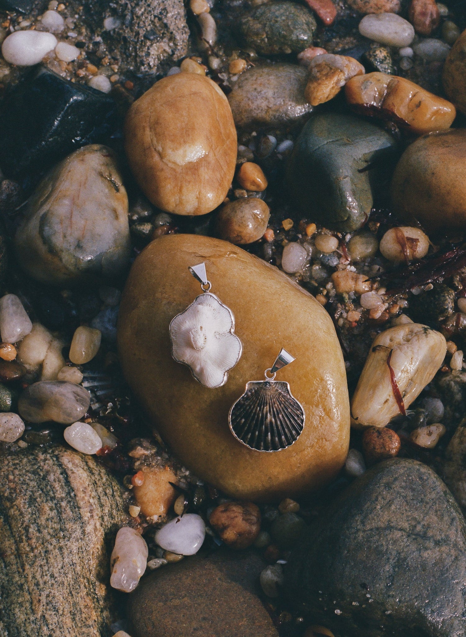 Shells