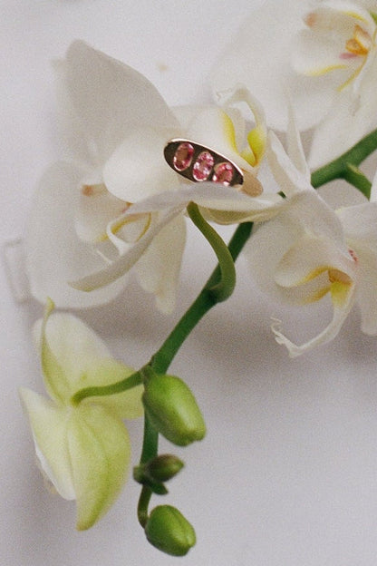 Táxis Ring