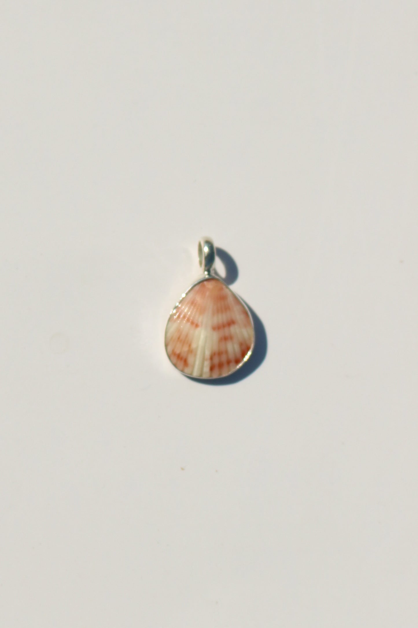 Shell Necklace