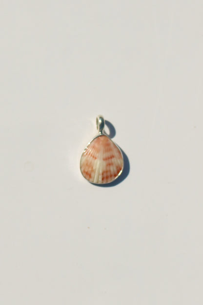 Shell Necklace