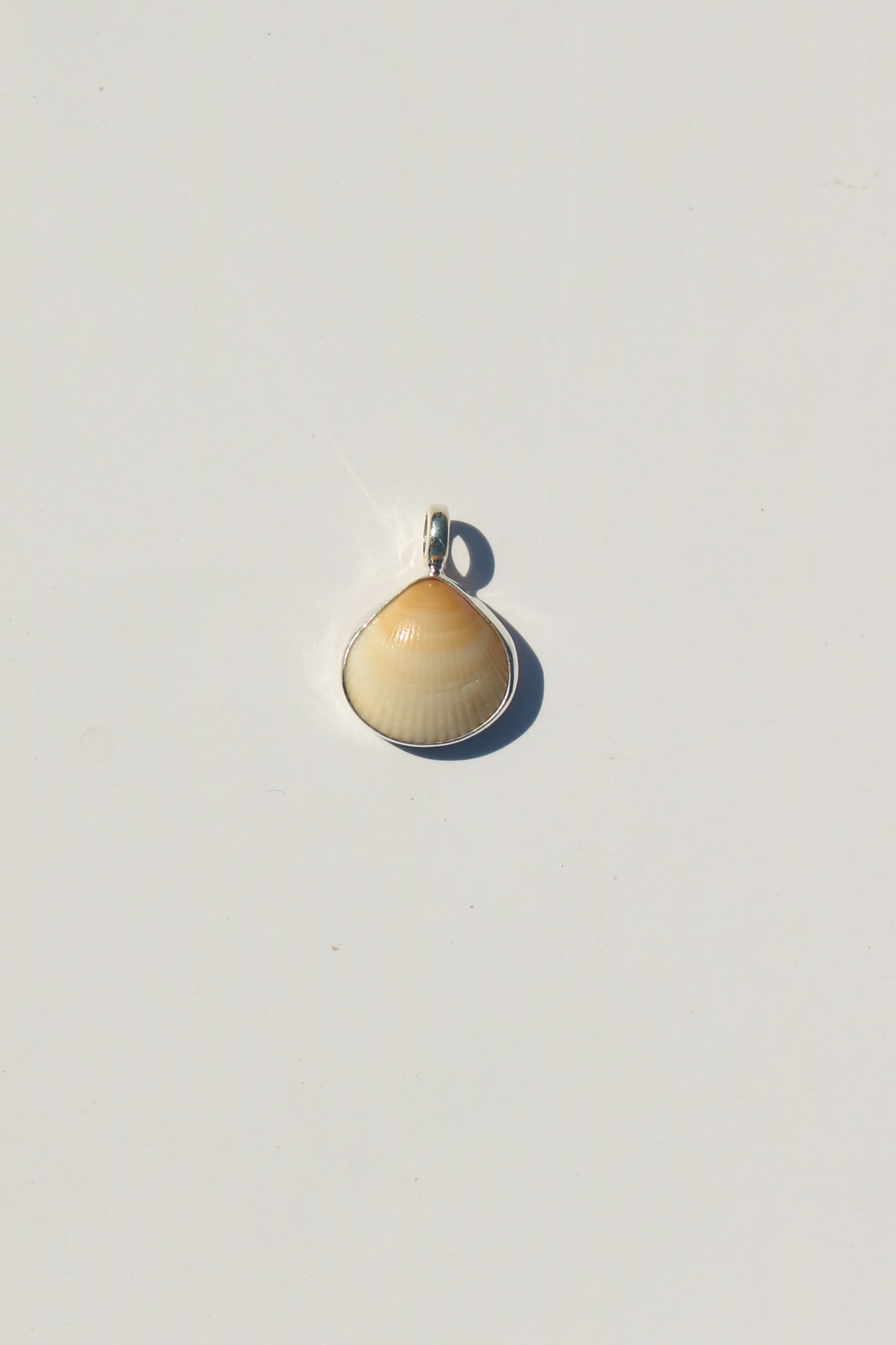 Shell Necklace