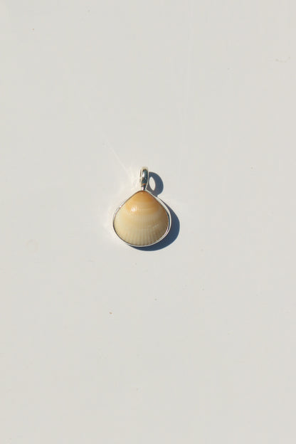Shell Necklace