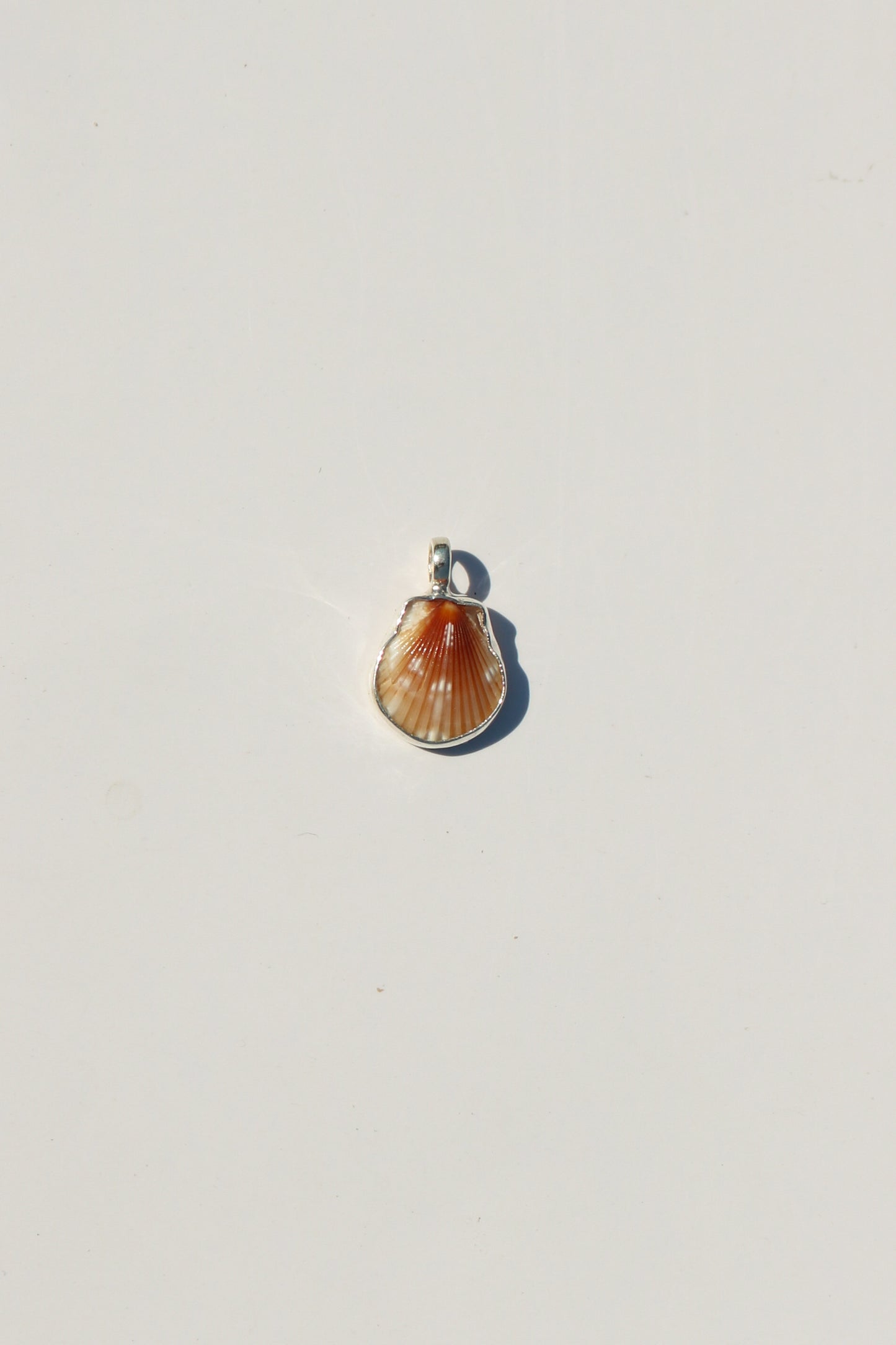 Shell Necklace