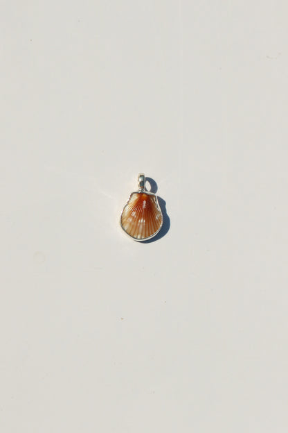 Shell Necklace