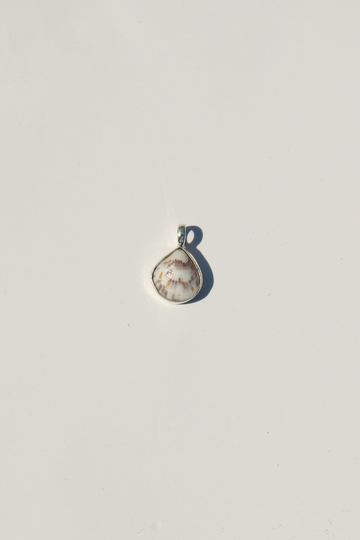 Shell Necklace