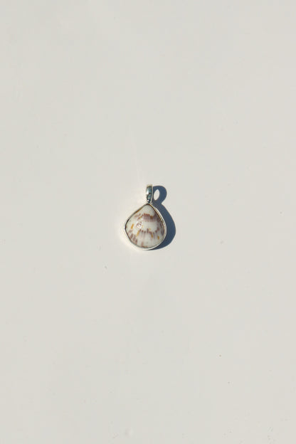 Shell Necklace