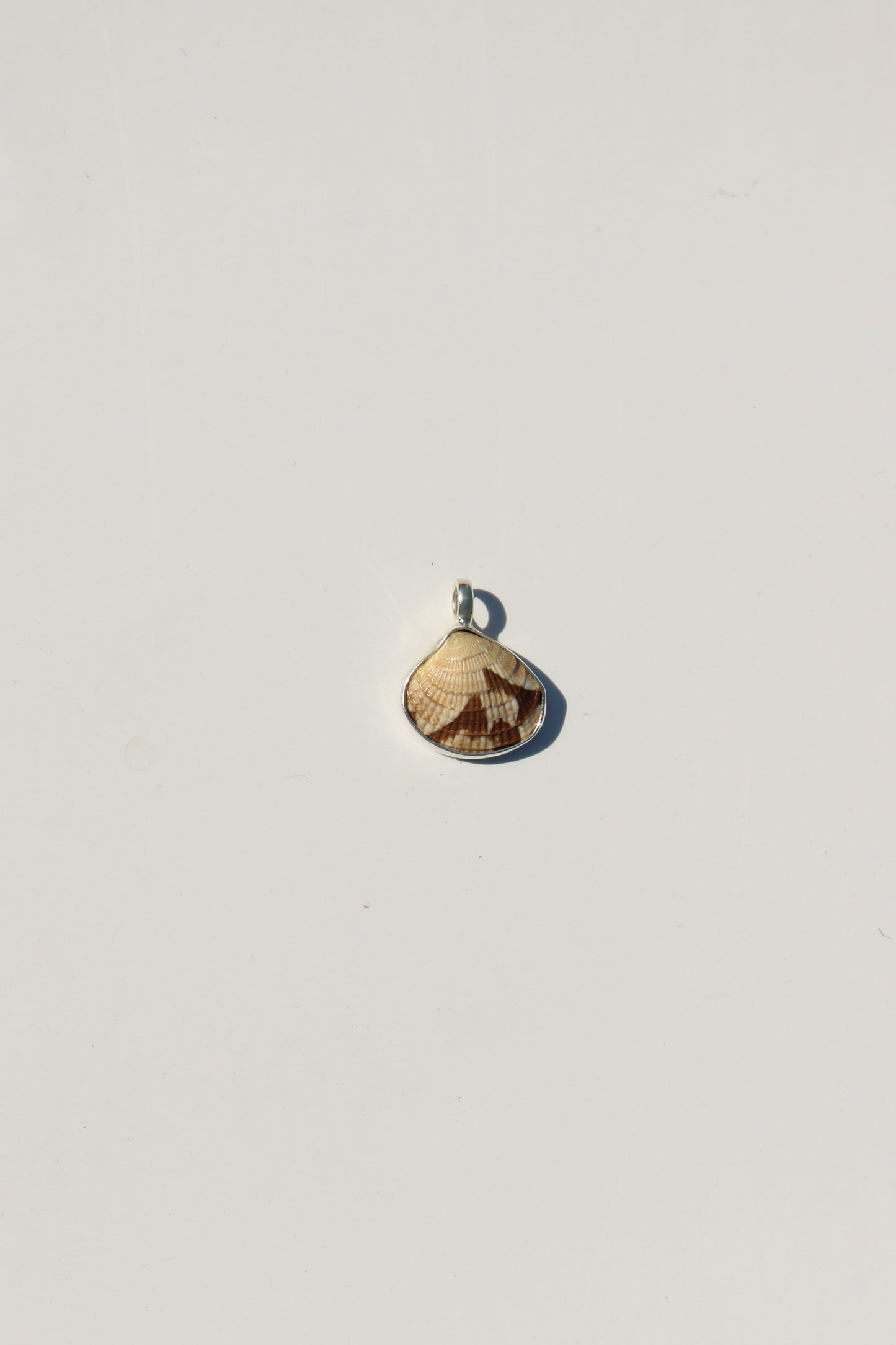 Shell Necklace