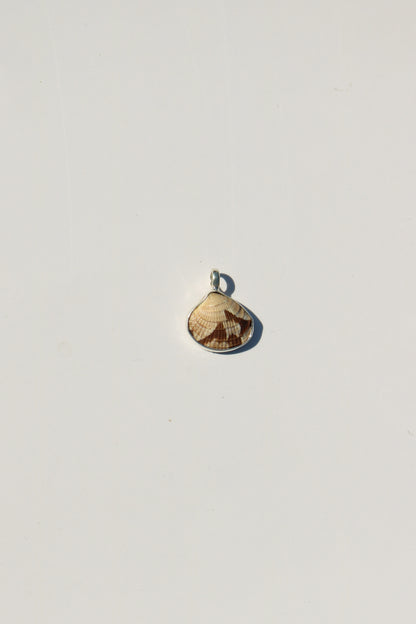 Shell Necklace