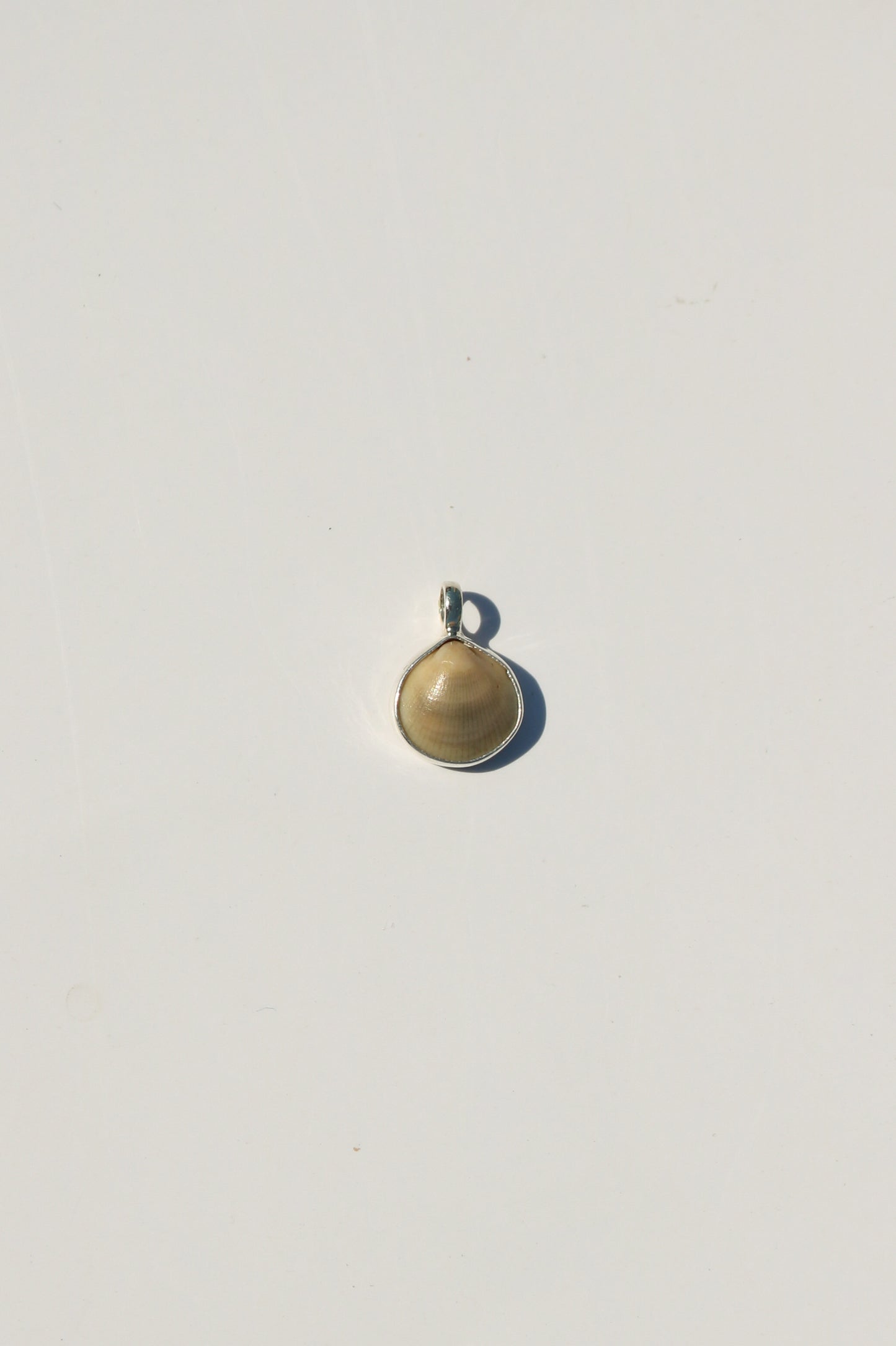 Shell Necklace