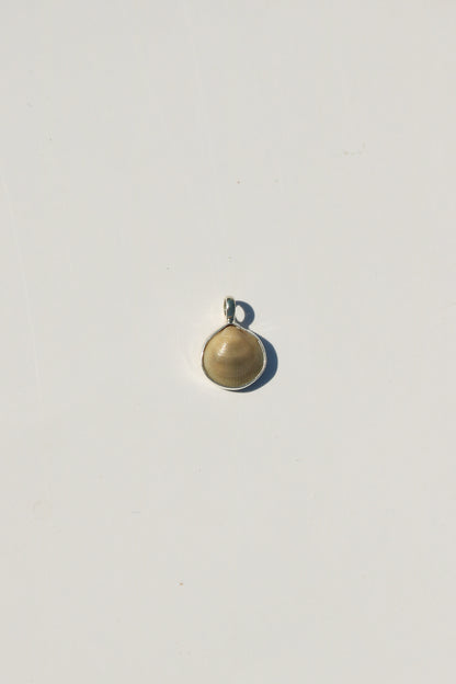 Shell Necklace