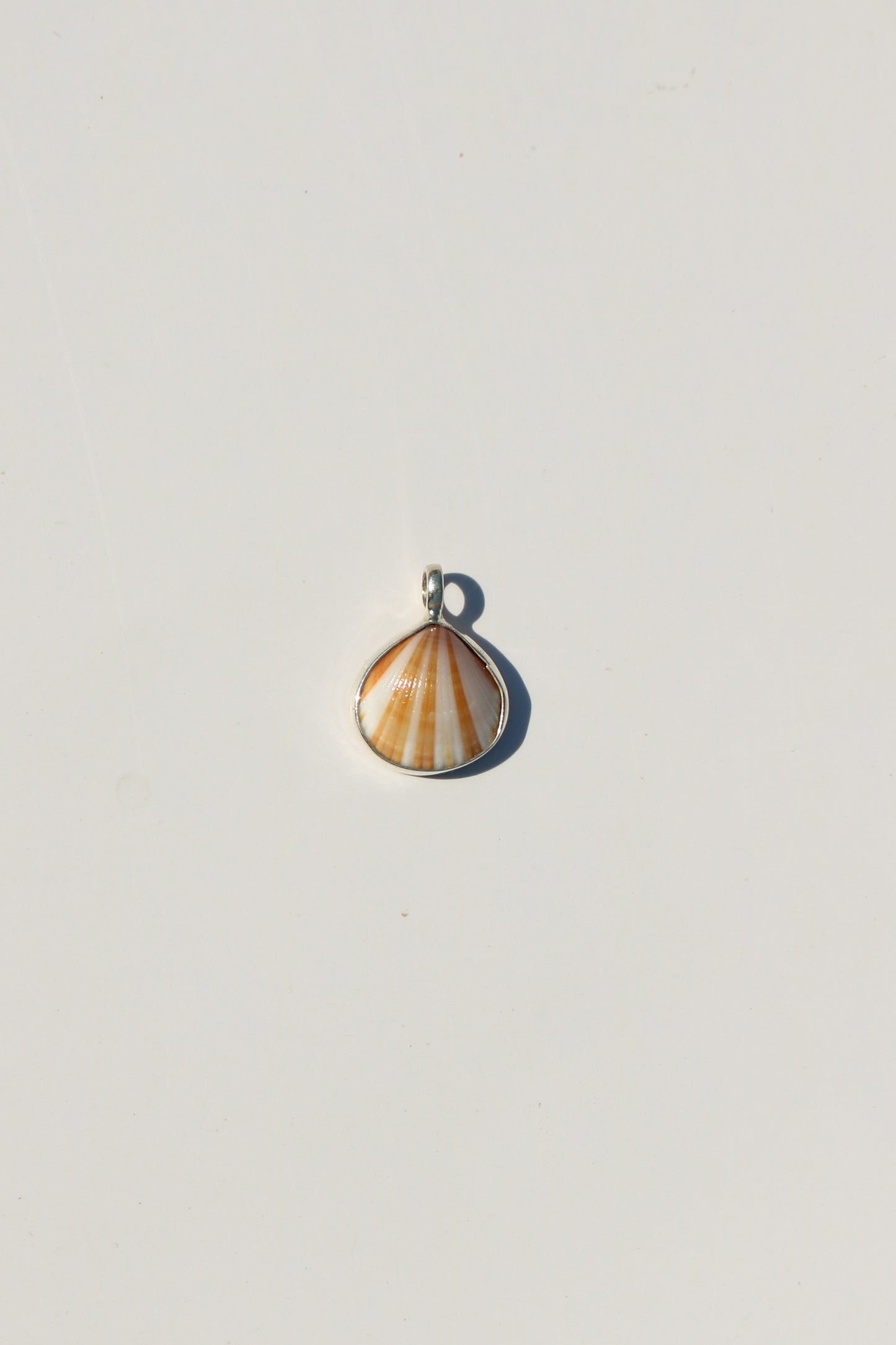 Shell Necklace