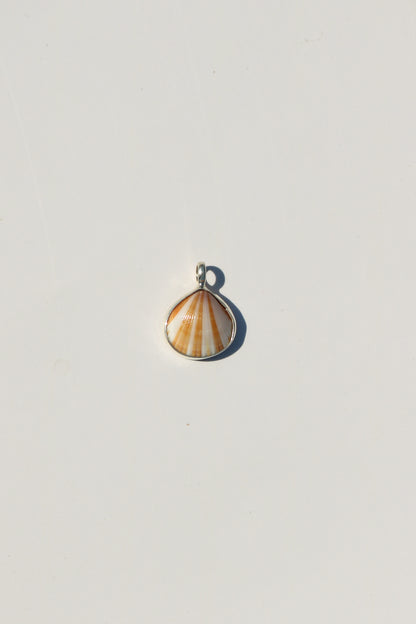 Shell Necklace