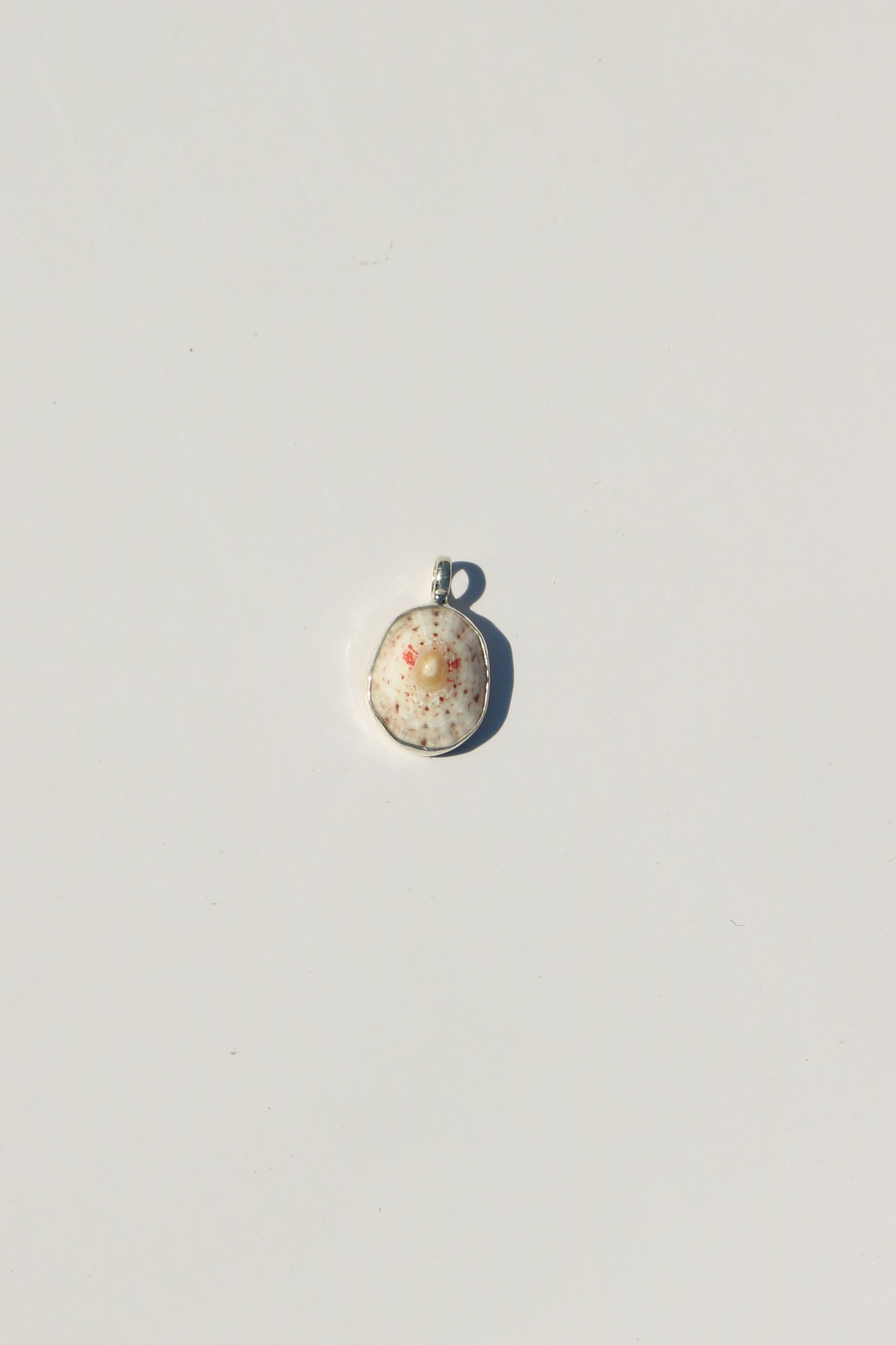 Shell Necklace