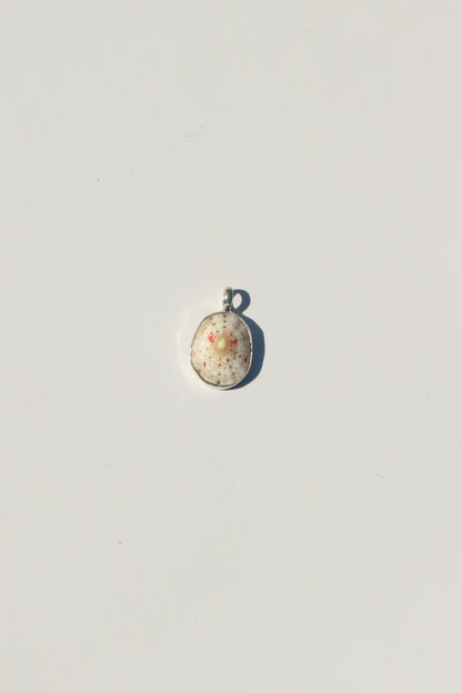 Shell Necklace
