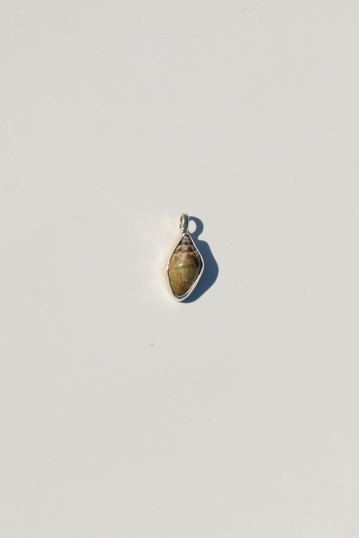Shell Necklace