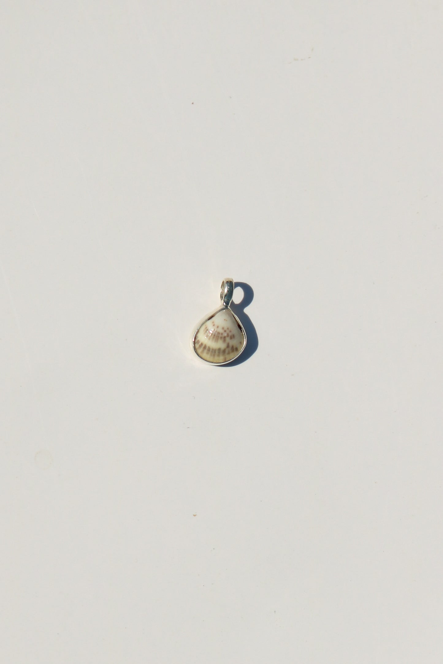 Shell Necklace