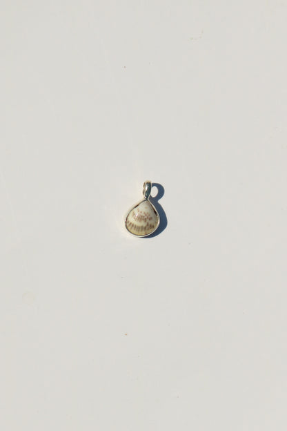 Shell Necklace