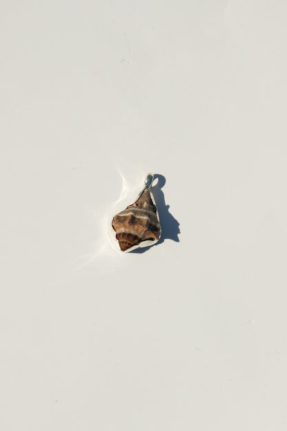 Shell Necklace