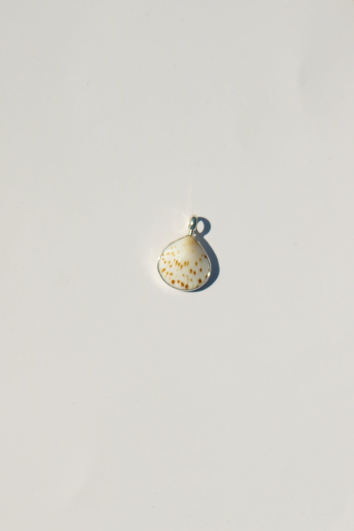 Shell Necklace