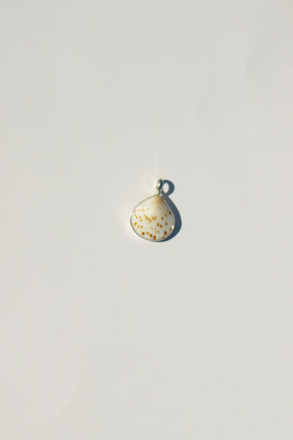 Shell Necklace