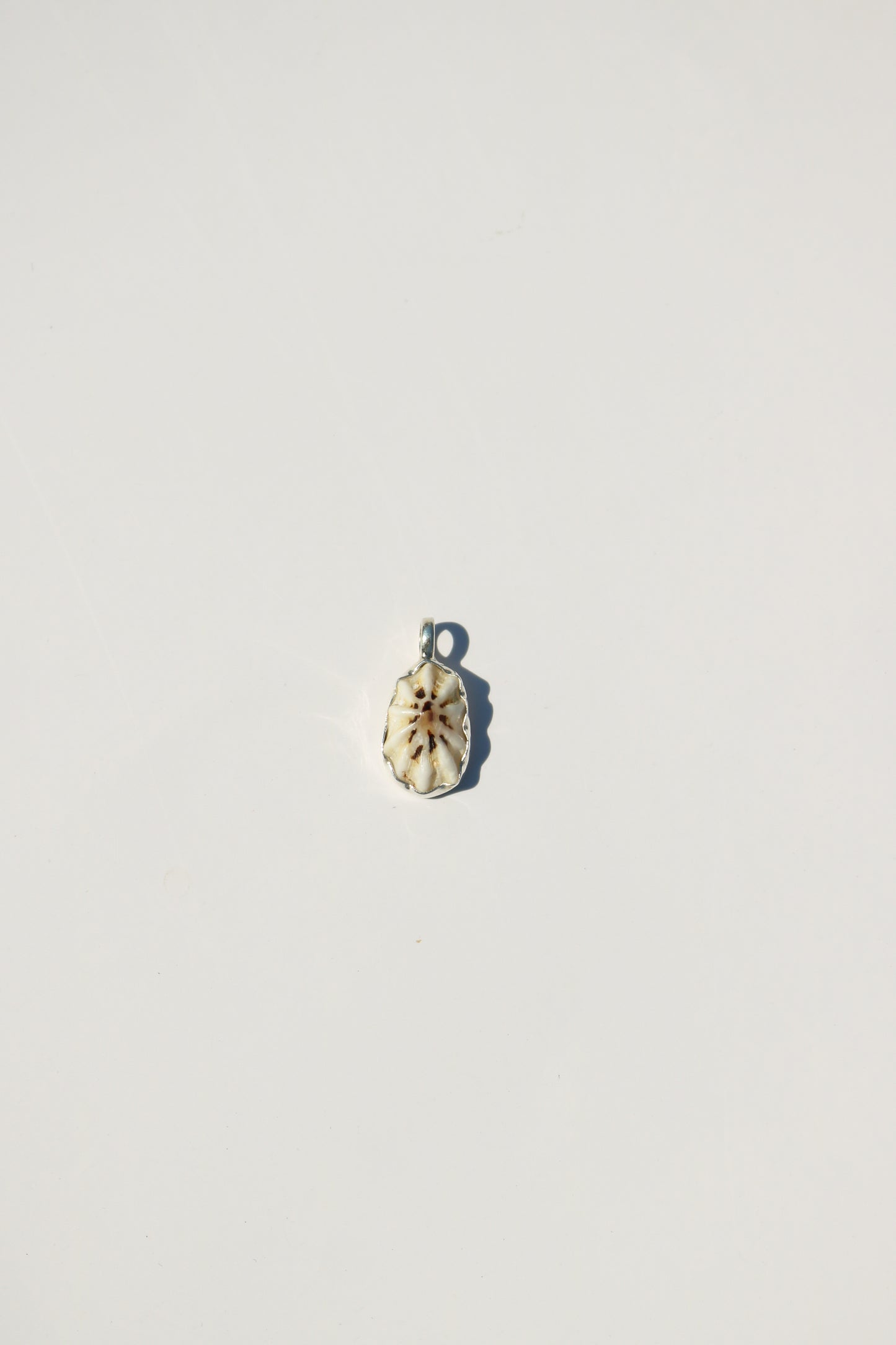 Shell Necklace