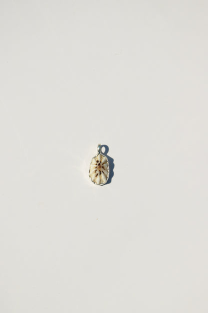 Shell Necklace