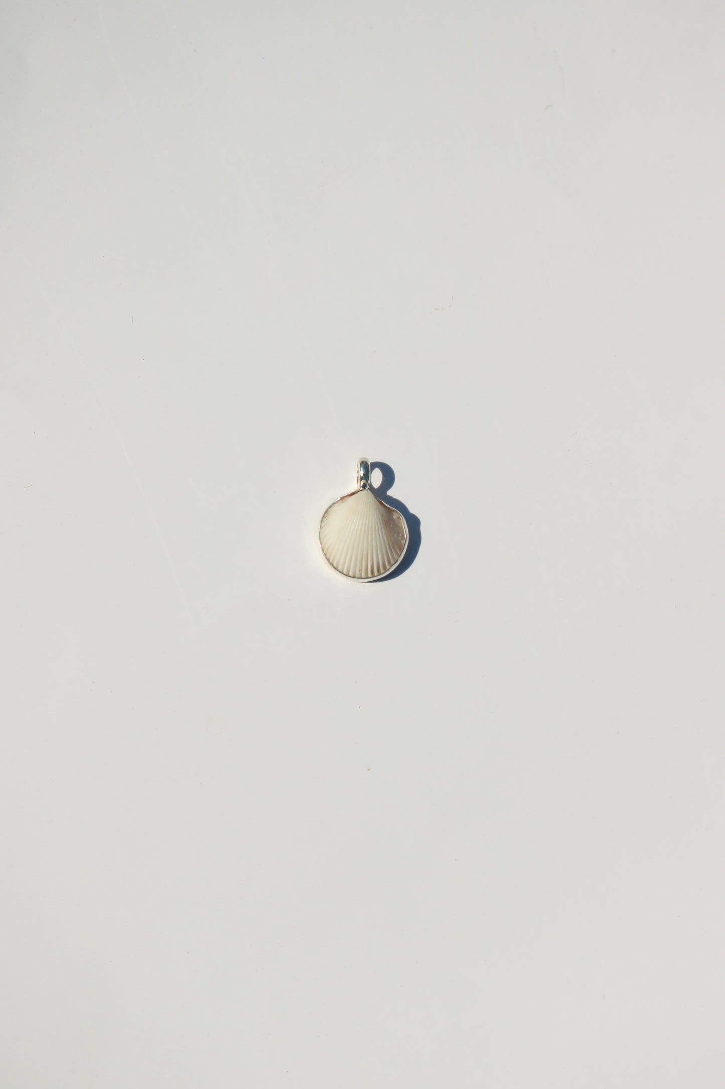 Shell Necklace