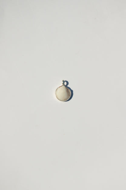 Shell Necklace